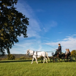 Vožnja z lipiško kočijo