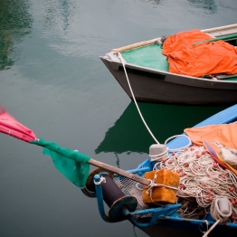 Obisk Ribiškega muzeja in Napoleonove poti